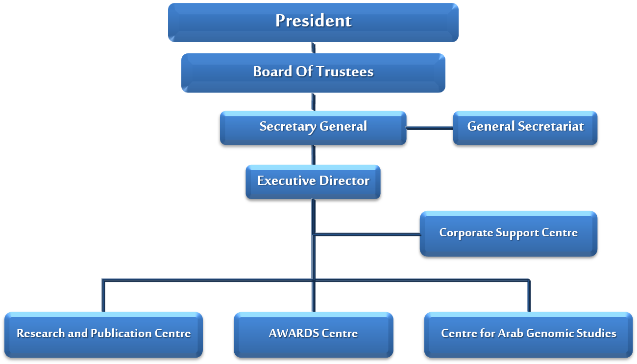 Hamdan Medical Award Organizational Chart