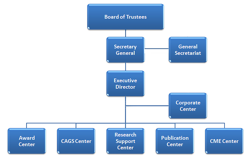 Medical Center Organizational Chart